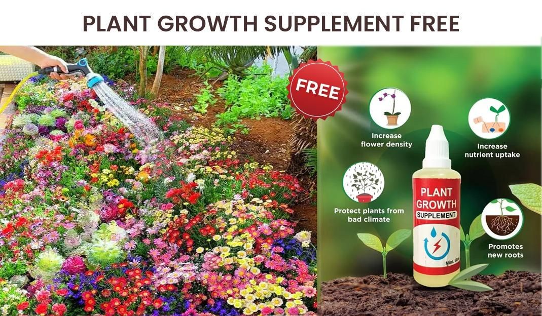 Buy Varieties of Flower Seeds (Pack of 100) And Get Plant Growth Supplement Free - Wishlect