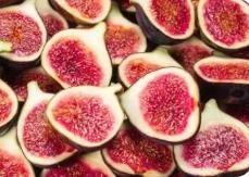 Fig Tree Seeds - Wishlect