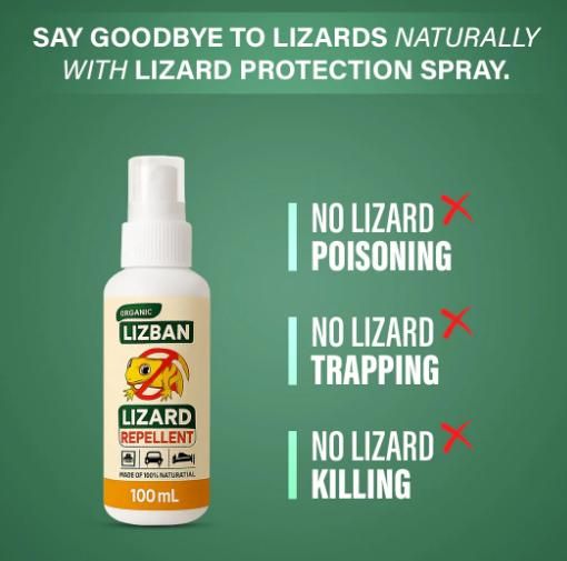 Lizard Repellent Spray 100Ml (Pack of 3) - Wishlect