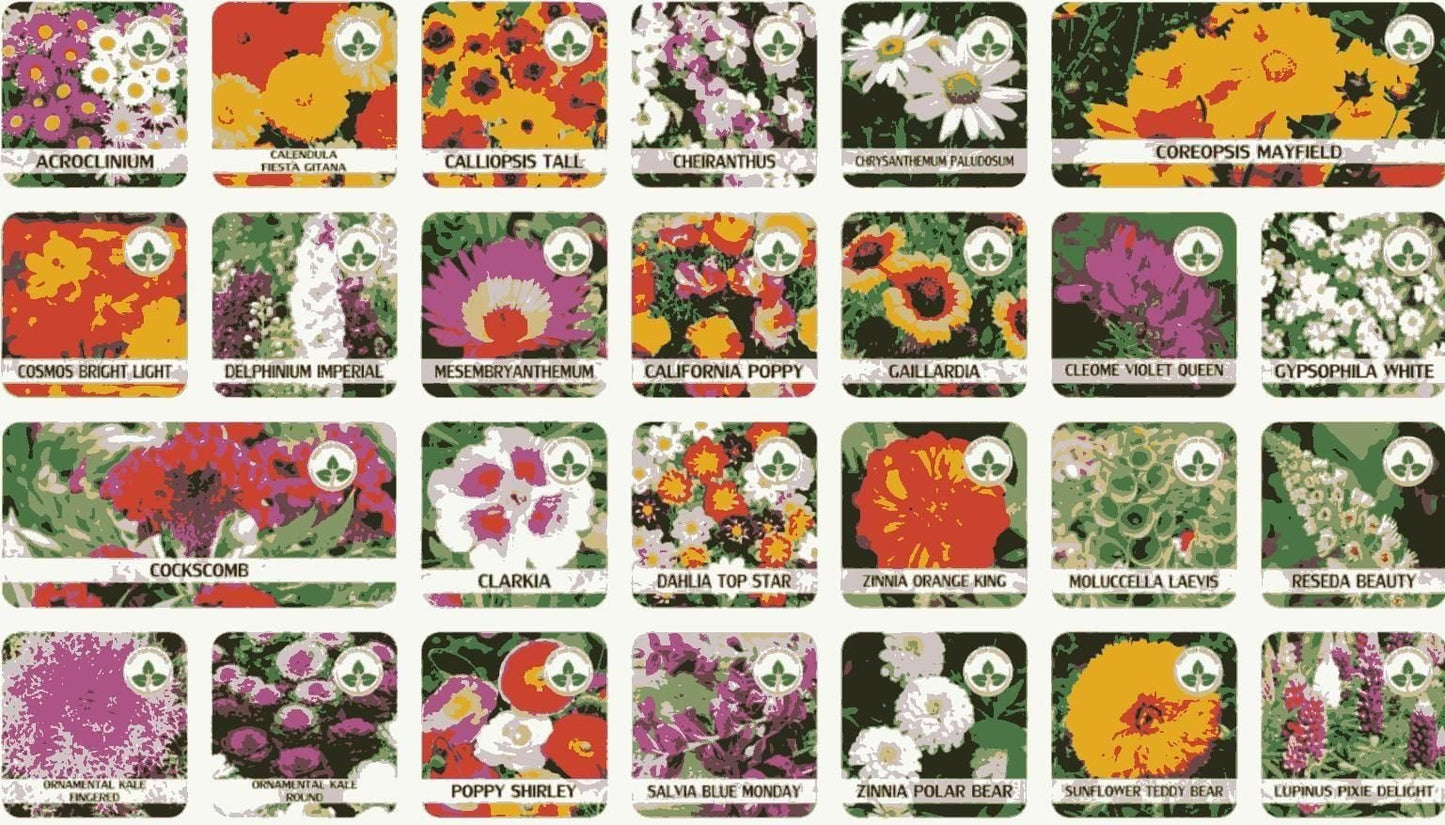 Buy Varieties of Flower Seeds (Pack of 100) And Get Plant Growth Supplement Free - Wishlect