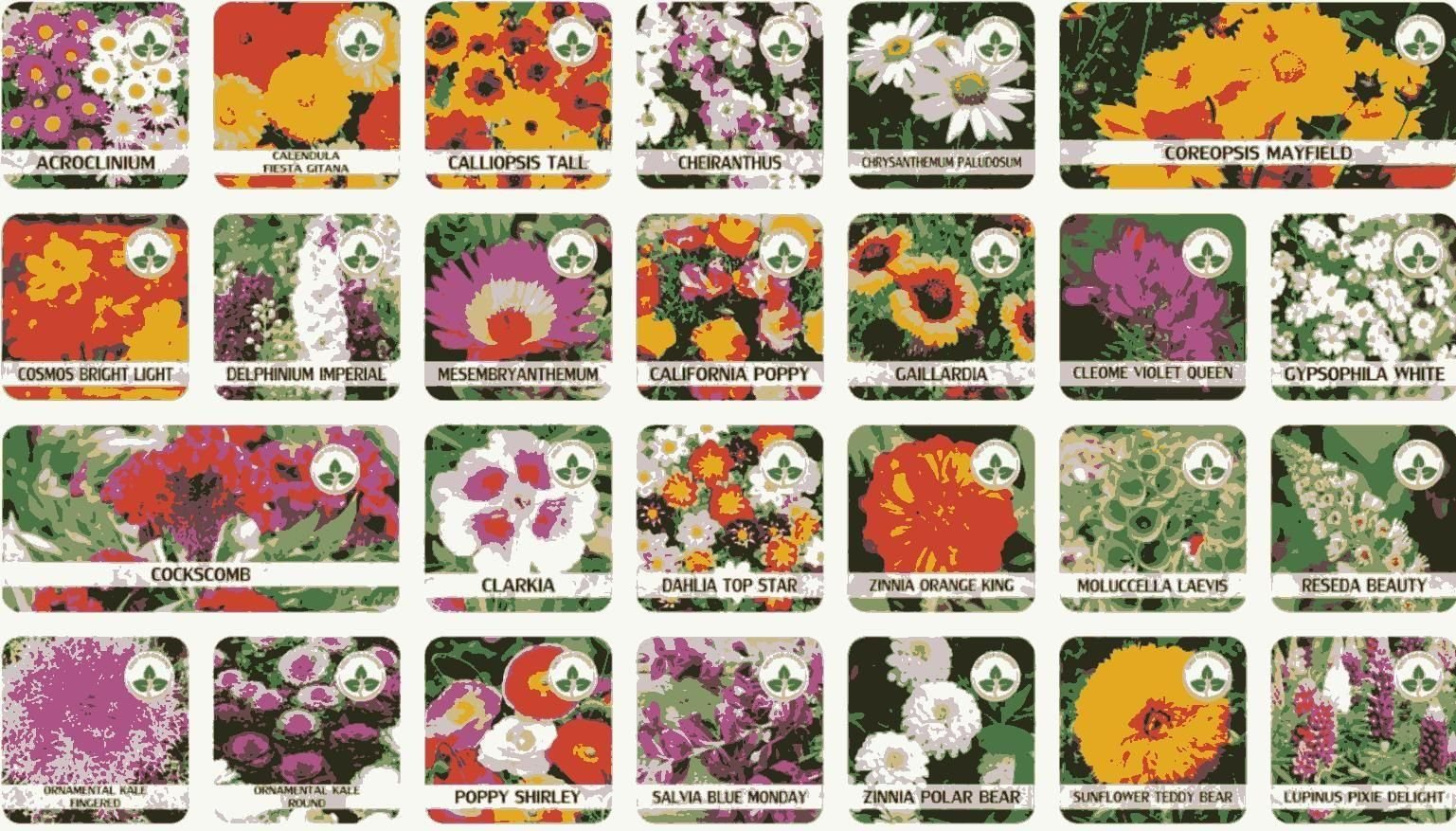 Buy Varieties of Flower Seeds (Pack of 100) And Get Plant Growth Supplement Free - Wishlect
