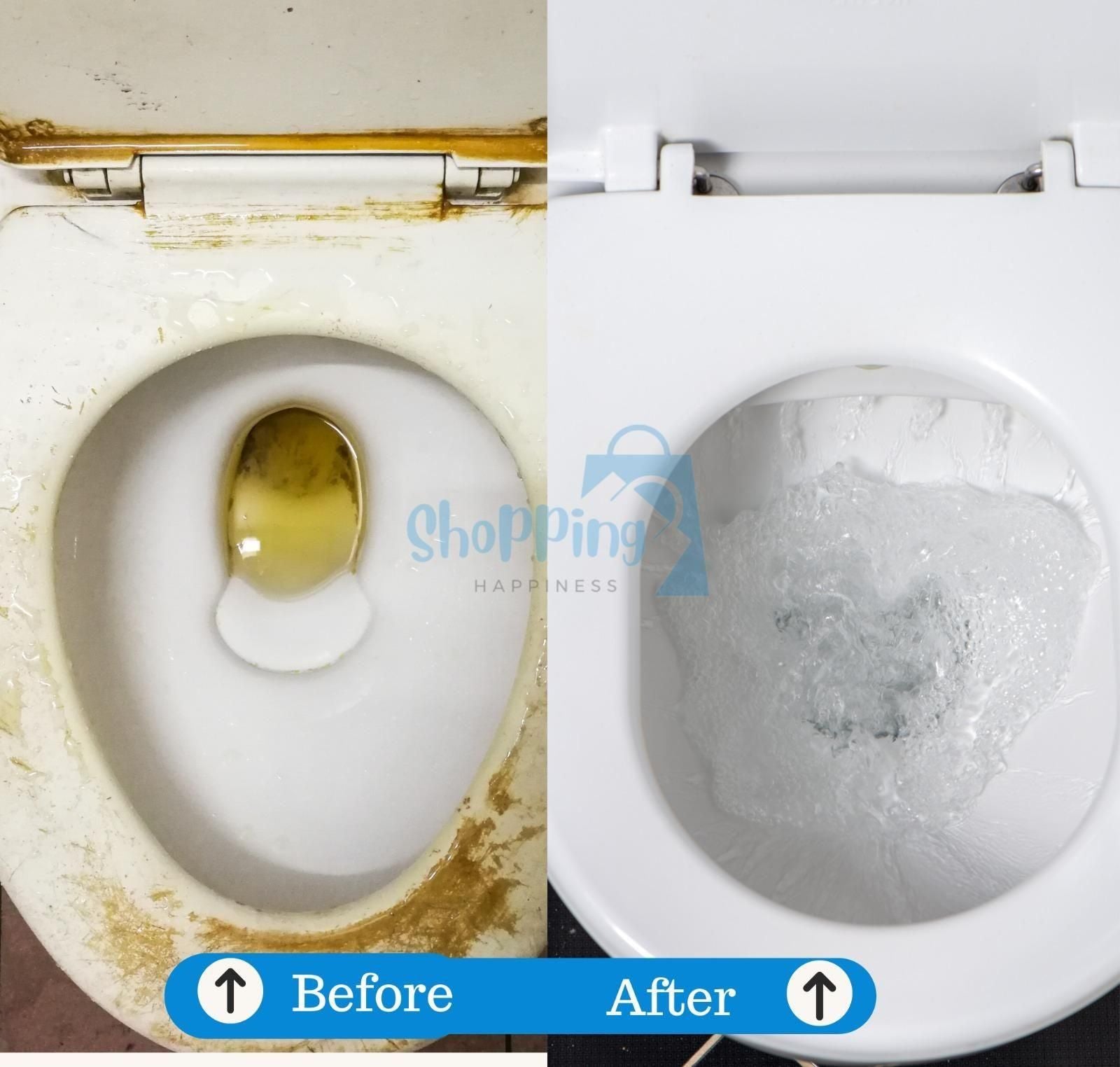 Toilet Cleaning Agent 100 gm (Pack of 2) - Wishlect
