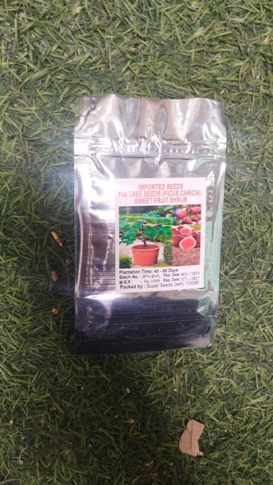 Fig Tree Seeds - Wishlect